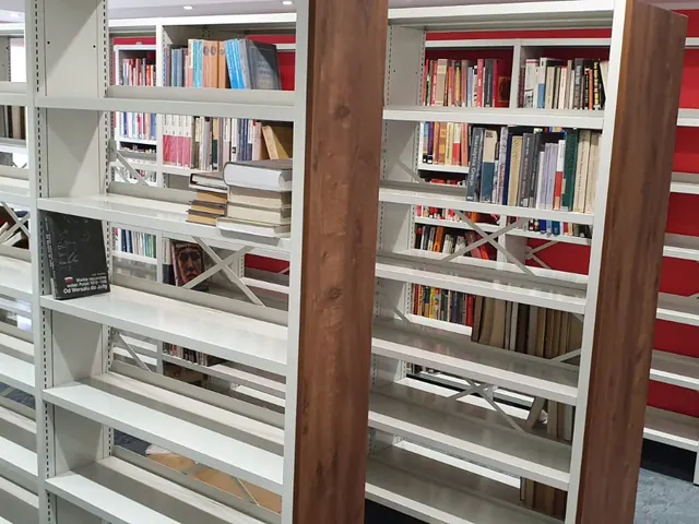 Bibliotekshyllor med böcker